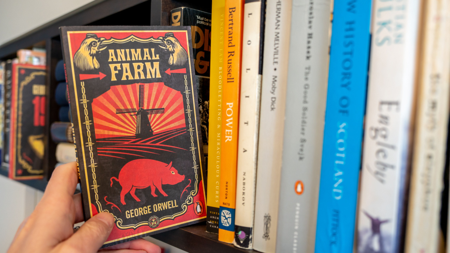 Animal Farm Themes and Symbolism