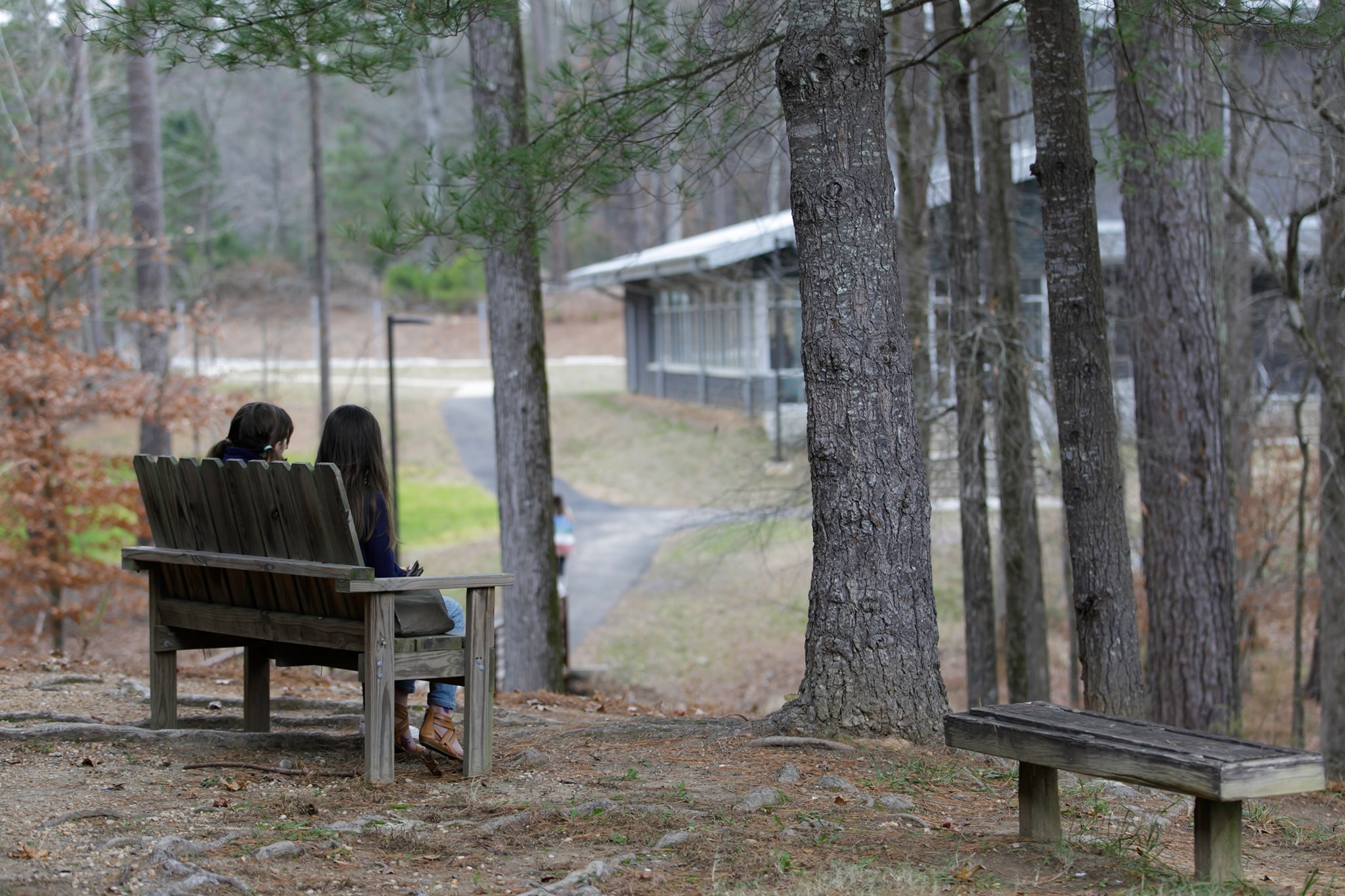 Carolina Friends School – Raleigh