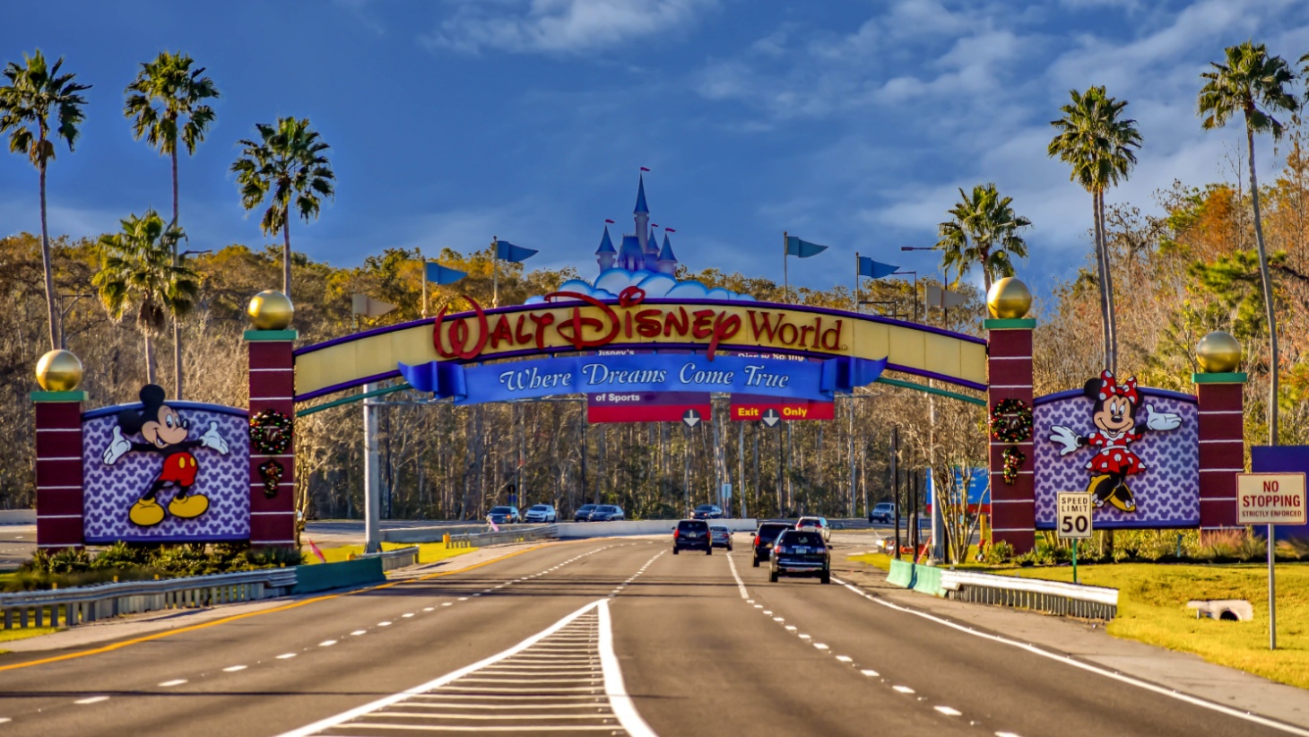 Disney College Program Acceptance Rate & Requirements