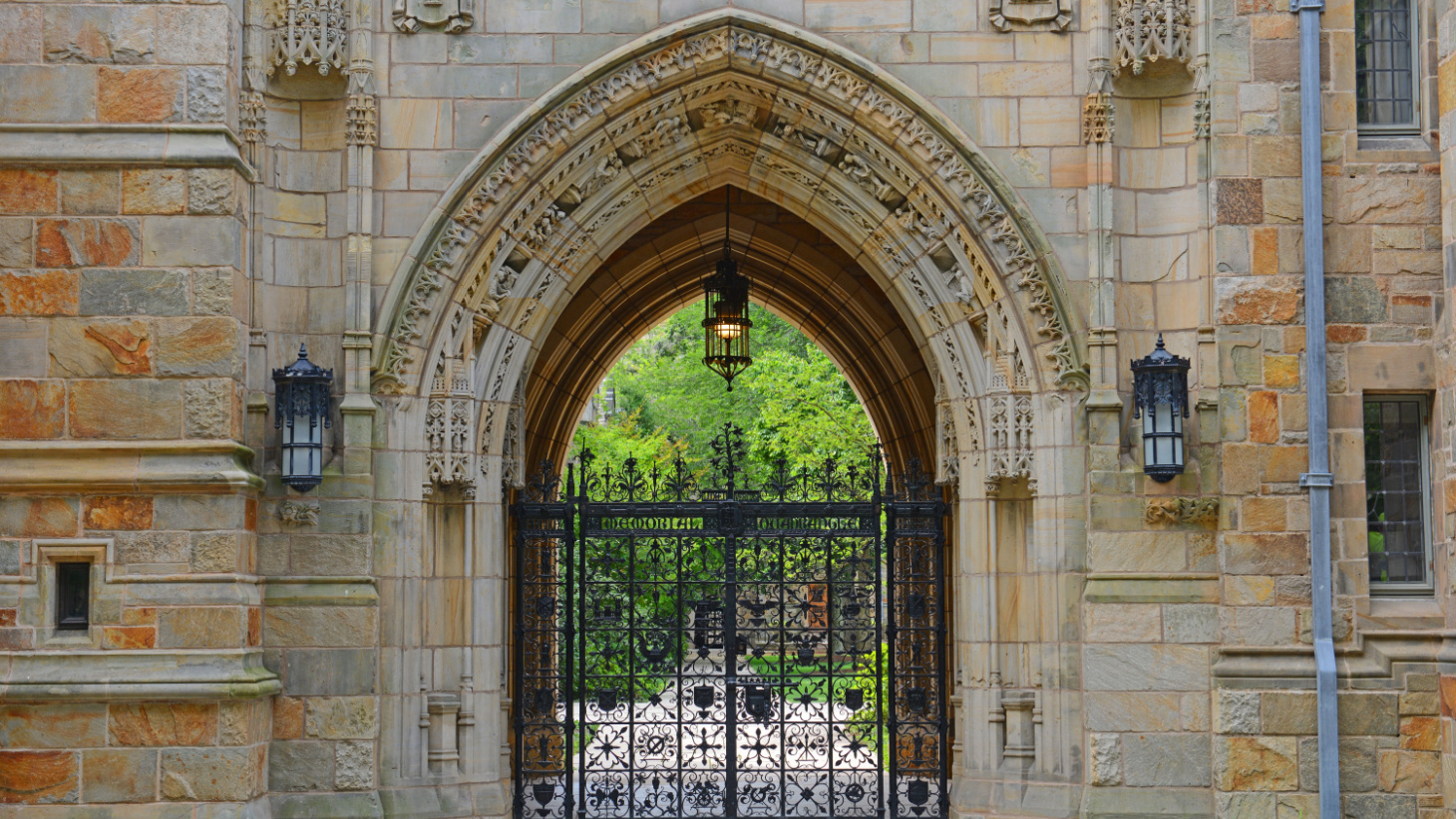 How to Transfer to an Ivy League School