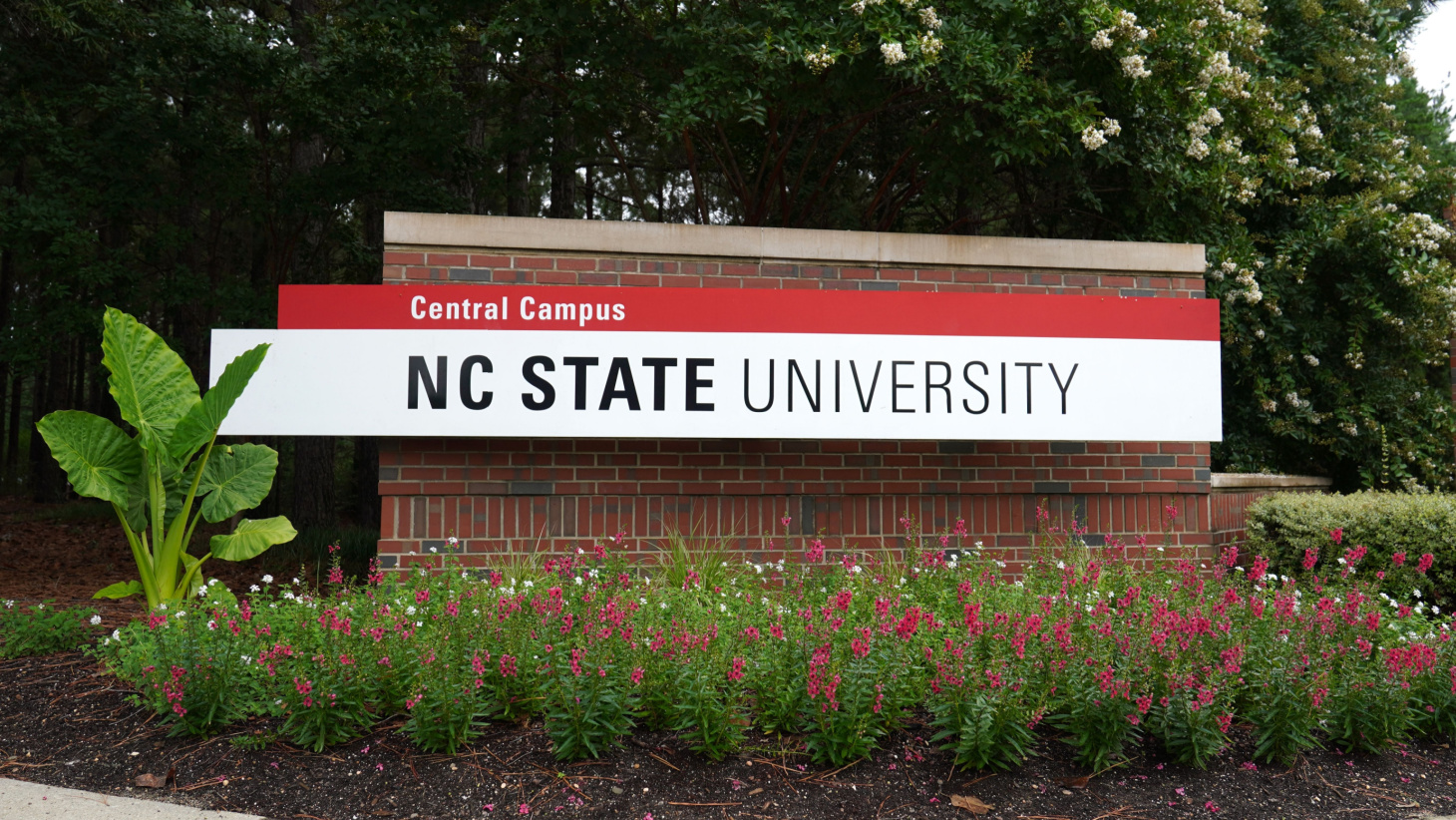 nc state supplemental essays