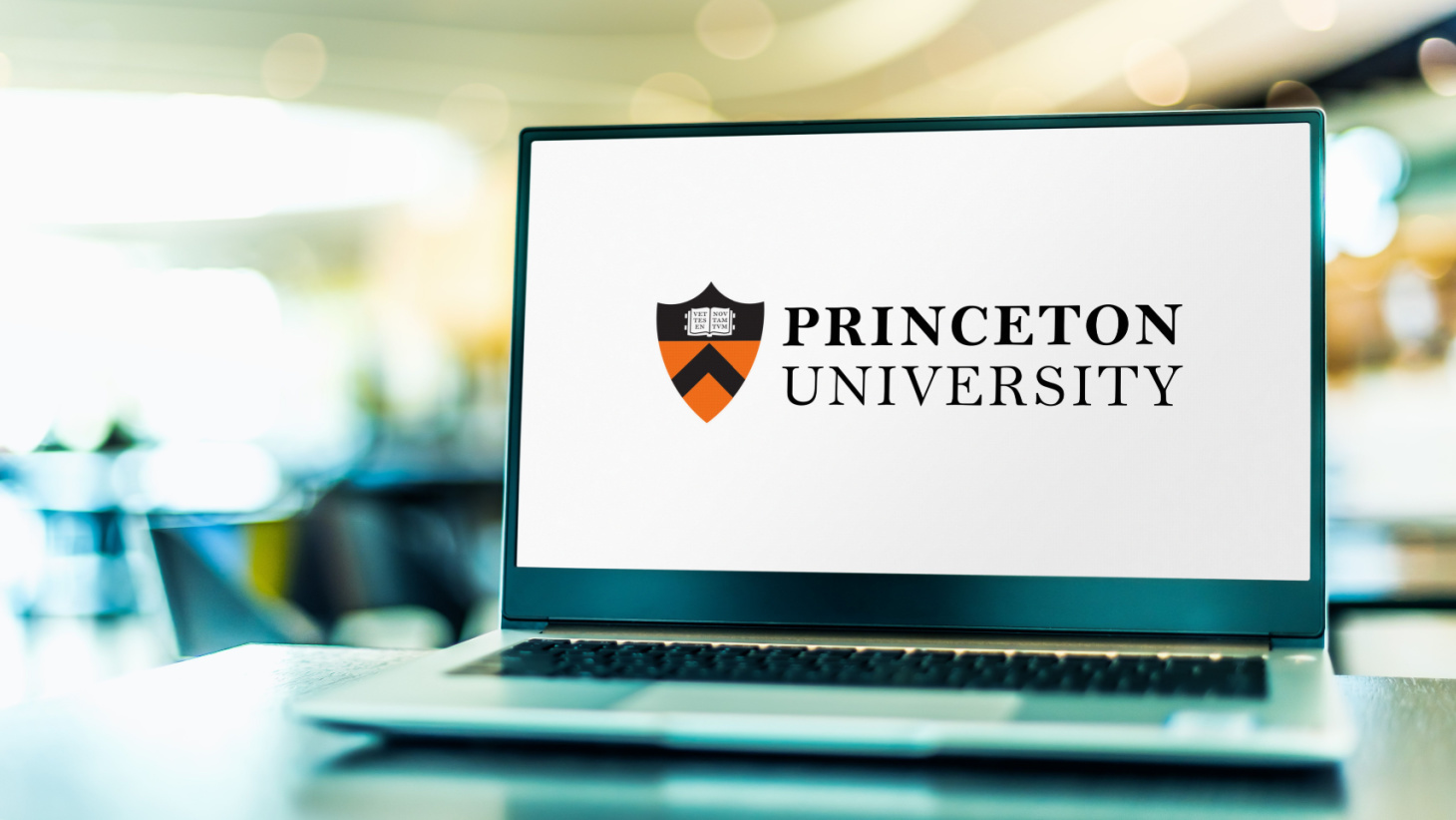 Princeton supplemental essays